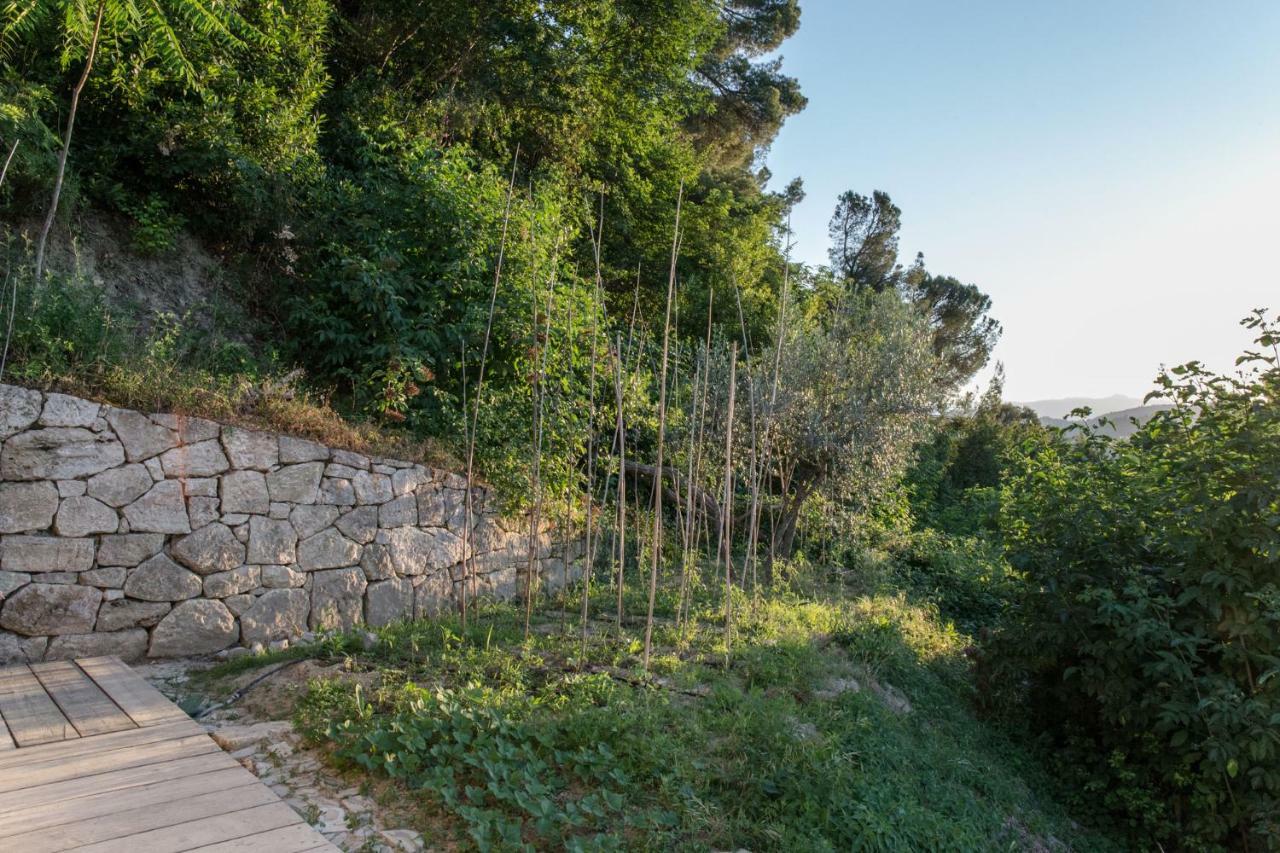 Villa Fortezza Antique Rooms Ασκόλι Πιτσένο Εξωτερικό φωτογραφία